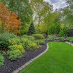 Enhancing Outdoor Spaces: Key Services for Safety and Beauty