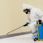 How Pest Control Companies Help Homeowners Deal with Unwanted Pests