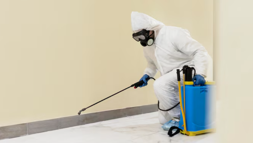 How Pest Control Companies Help Homeowners Deal with Unwanted Pests