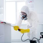 Restoring Harmony: How Professional Pest Control Keeps Your Home Comfortable