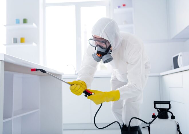 Restoring Harmony: How Professional Pest Control Keeps Your Home Comfortable