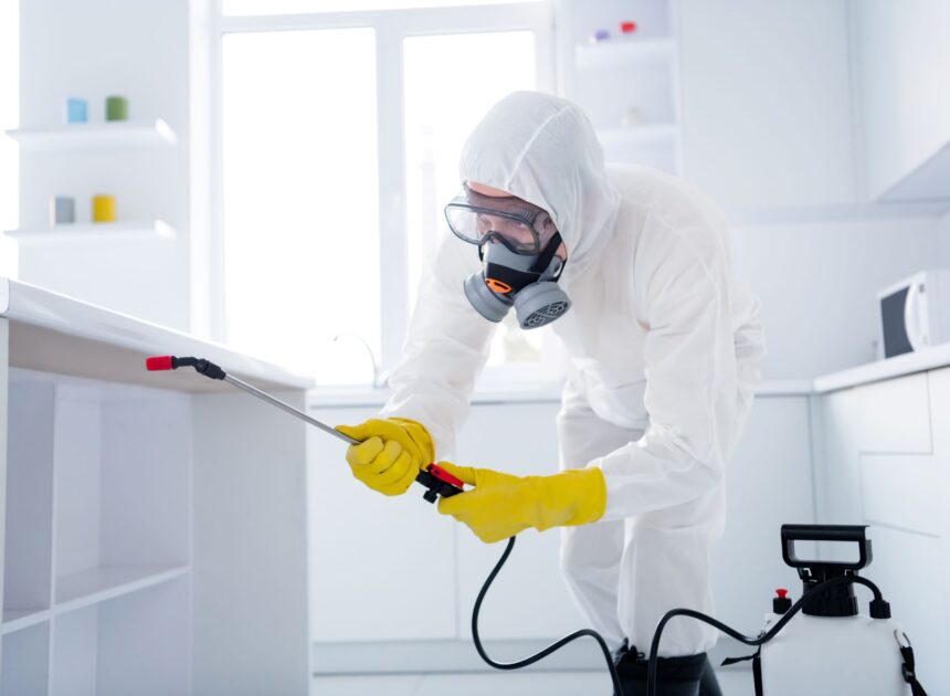 Restoring Harmony: How Professional Pest Control Keeps Your Home Comfortable