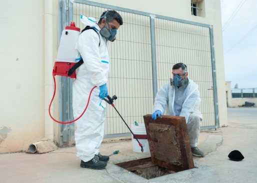 Restoring Harmony: How Professional Pest Control Keeps Your Home Comfortable