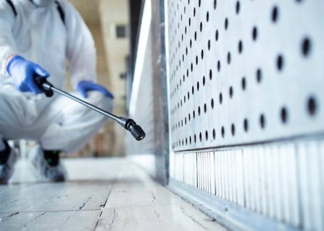 Signs Your Business Needs a Commercial Exterminator