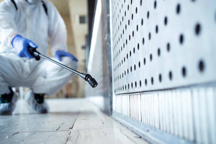 Signs Your Business Needs a Commercial Exterminator